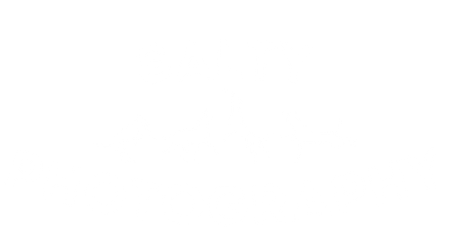 Salty Photography