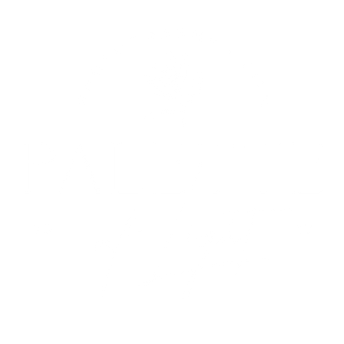 Palette of Light | Photography