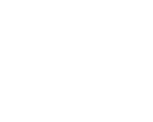 Carly Scaduto Photography