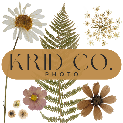 Krid Co. Photo