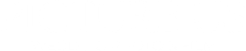 Picture us