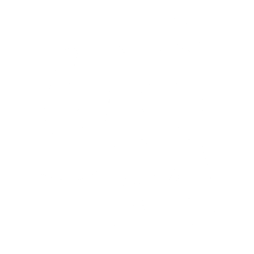 YSM Media