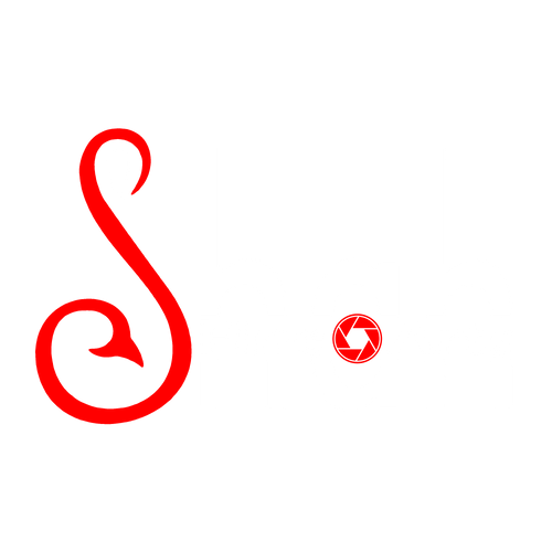 SHAH FINE ARTS