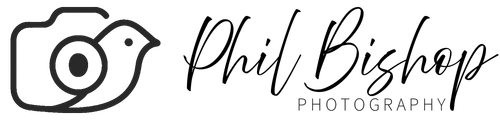 site-logo