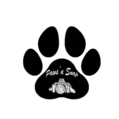 Paws n’ Snap Photography