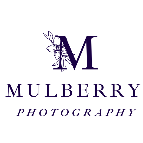 mulberry photography