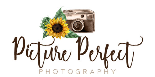 Picture Perfect Photography