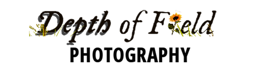 Depth of Field Photography