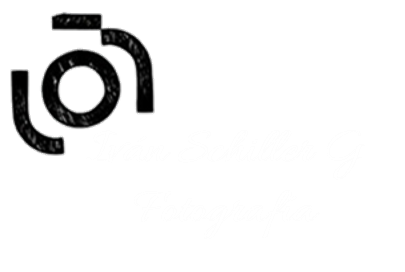 New Art visual Schiller