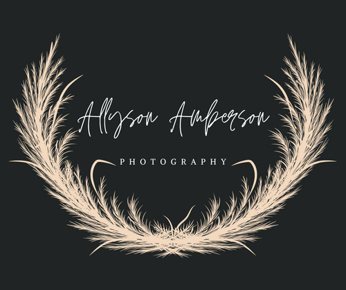 Allyson Amberson Photography