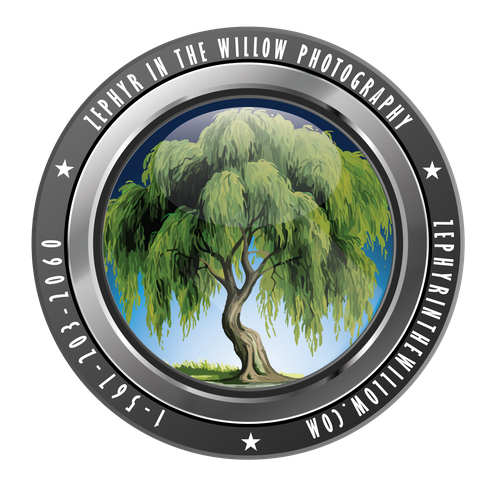 Zephyr in the Willow Photography