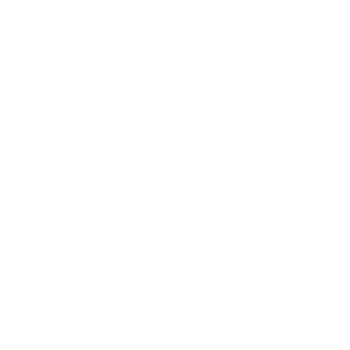 Nikita Williams Photography
