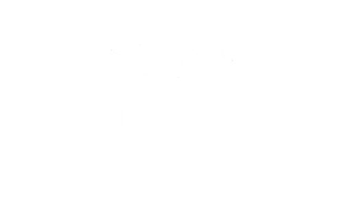 BLINK STUDIOS