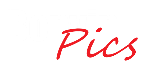 site-logo