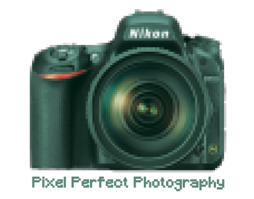 Pixel Perfect Photography