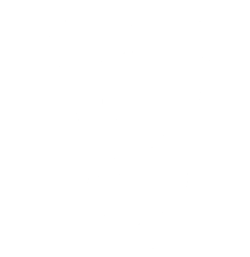 THE VANITY