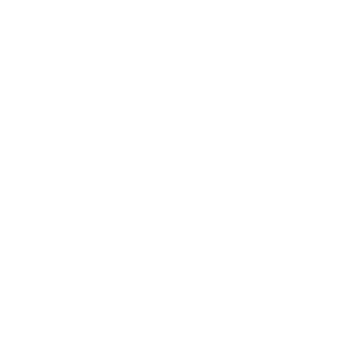 THE VANITY