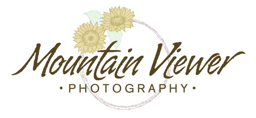 Mountain Viewer Photography