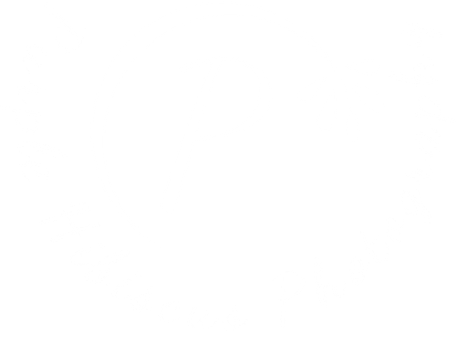 Purple Hibiscus Photography