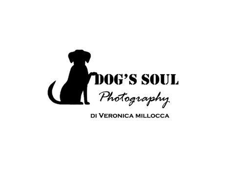 Dog’s soul photography