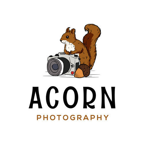 Acorn Photography