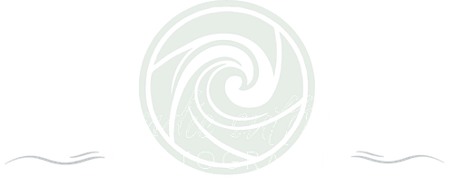 Andie Sutton Photography