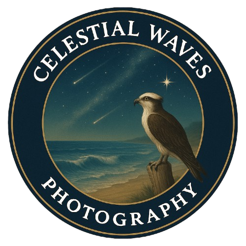 Celestial Waves Photography