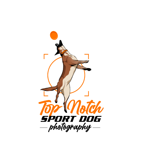 Top Notch Sport Dog Photography