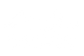Forever Young Photography