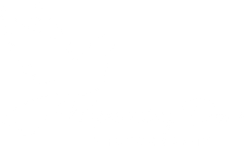 Mourning Dove Photography
