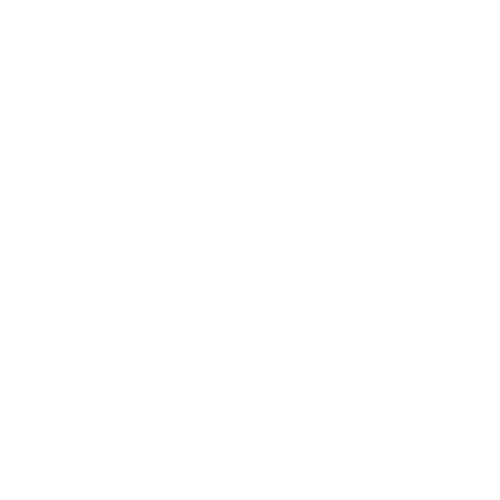 andrewbc photo
