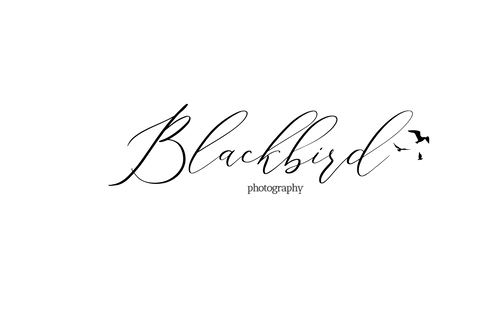 BlackBird Photography