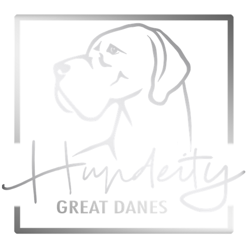 HUNDEITY GREAT DANES