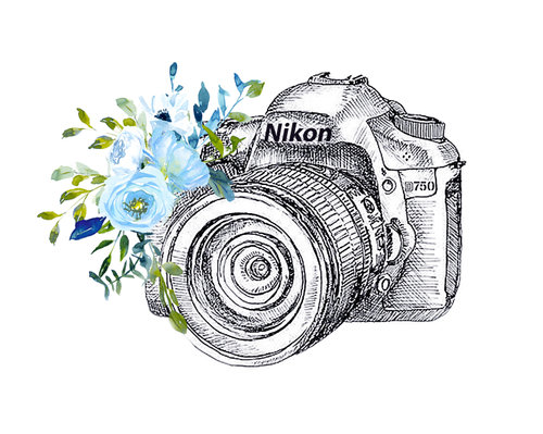 Nieves Daigle Photography