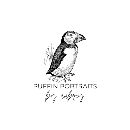 Puffin Portraits