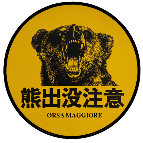 L'Orsa Maggiore