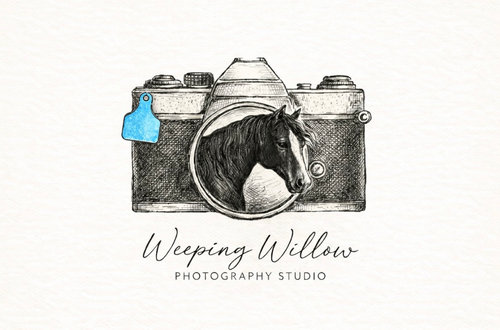 Weeping Willow Photography Studio