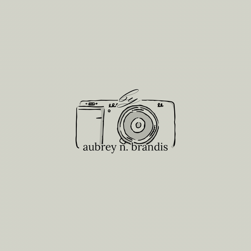 By Aubrey N. Brandis