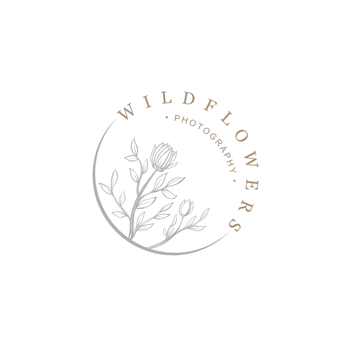 Wildflowers Photography