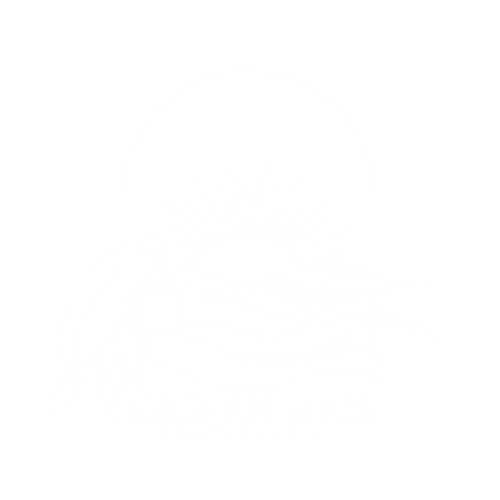 Meghan Mais Photography