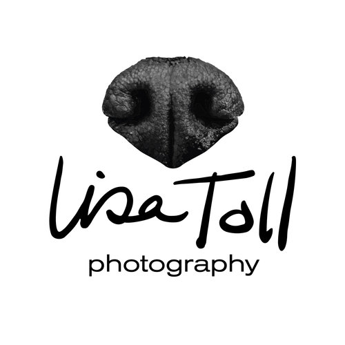 Lisa Toll Photography