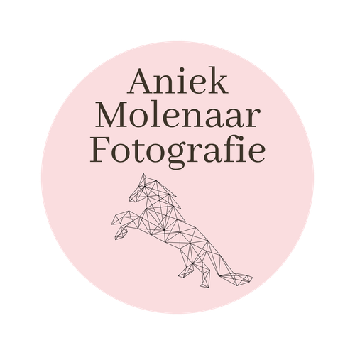 Aniek Molenaar Fotografie
