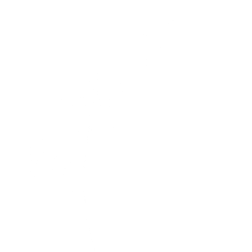 The Wild Dandelion