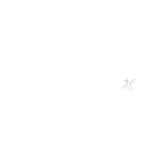 Mayrafranco_photographer