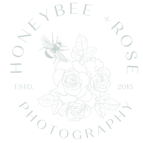 Honeybee + Rose Photohraphy