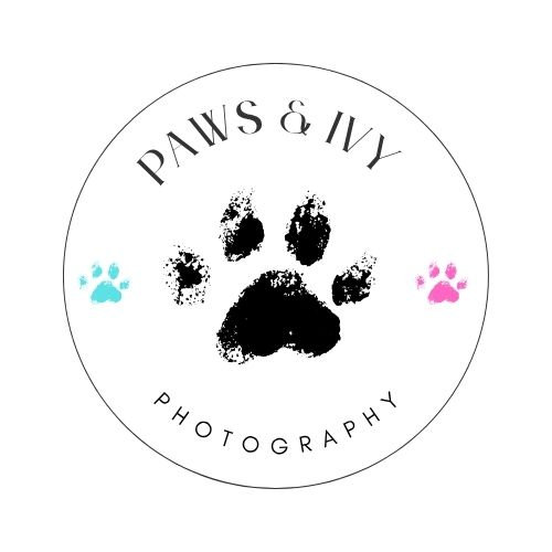 Paws & Ivy Photography