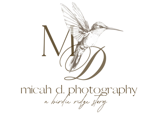 site-logo