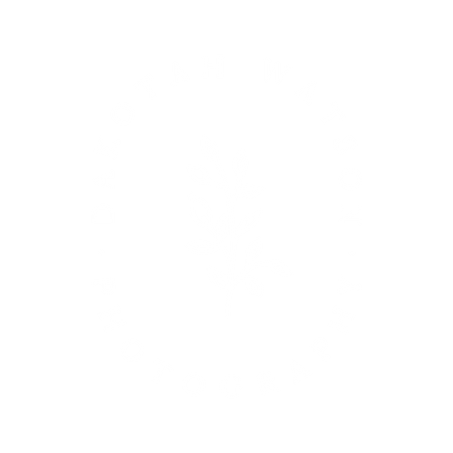 Dakotah Watson Photography