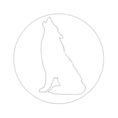 Wild Wolf Photography