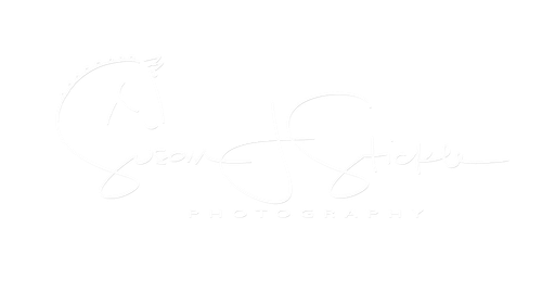 Susan J Stickle Photography